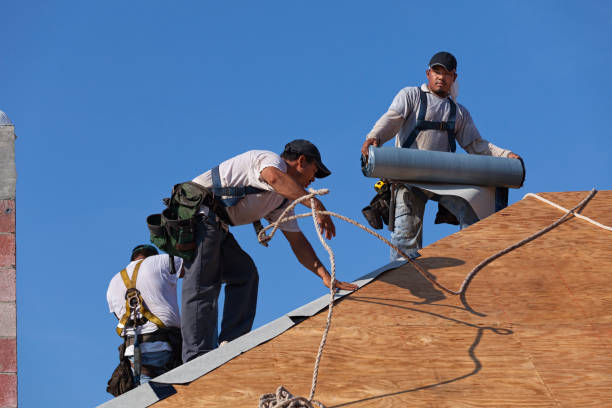 Best Storm Damage Roof Repair  in Clarkson, KY