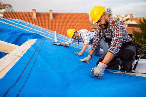 Best Storm Damage Roof Repair  in Clarkson, KY
