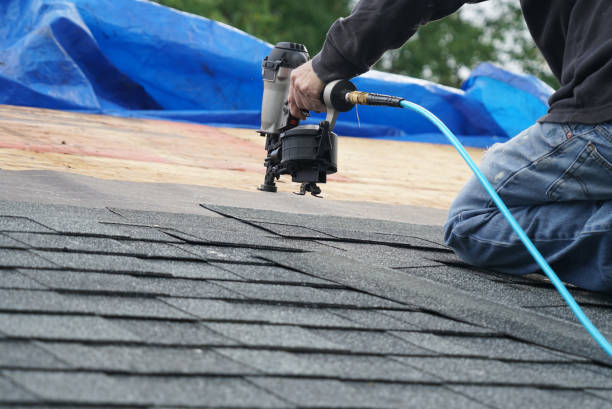 Best Roof Gutter Cleaning  in Clarkson, KY